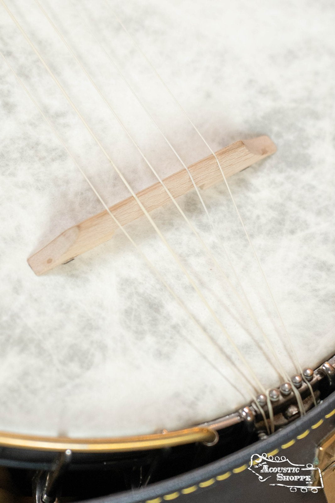 (Used) S.S. Stewart Thoroughbred 5-String Open-Back Banjo #3487