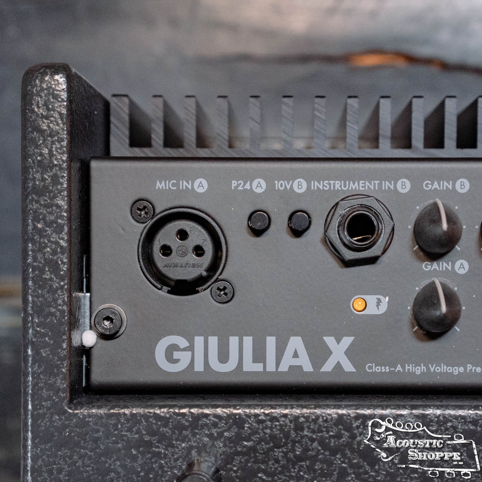 Schertler Amp GIULIA - X w/ Anthracite Finish