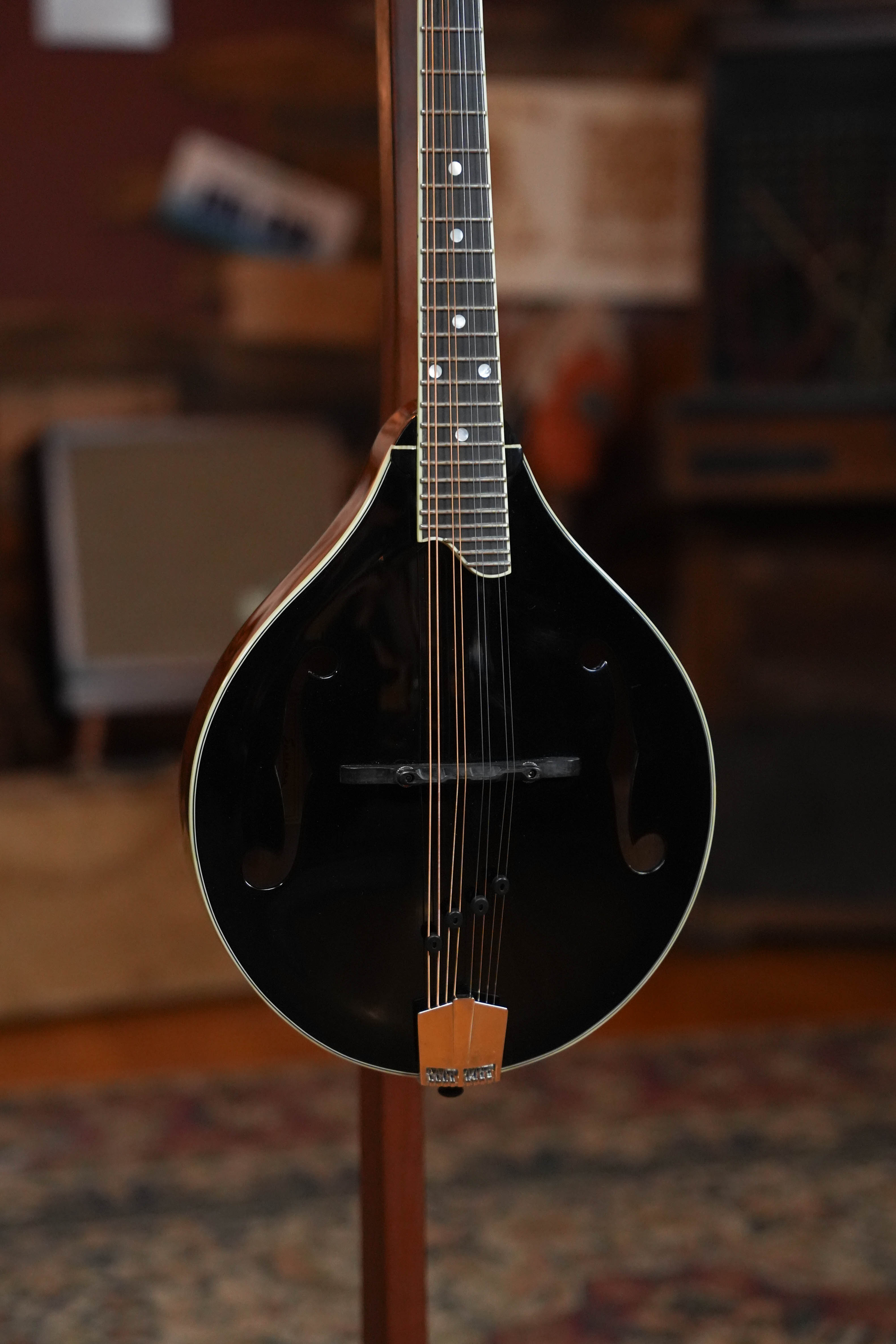 *Stage Ready* Eastman MD505-BK-LTD A-Style Mandolin w/ F-Holes #4800