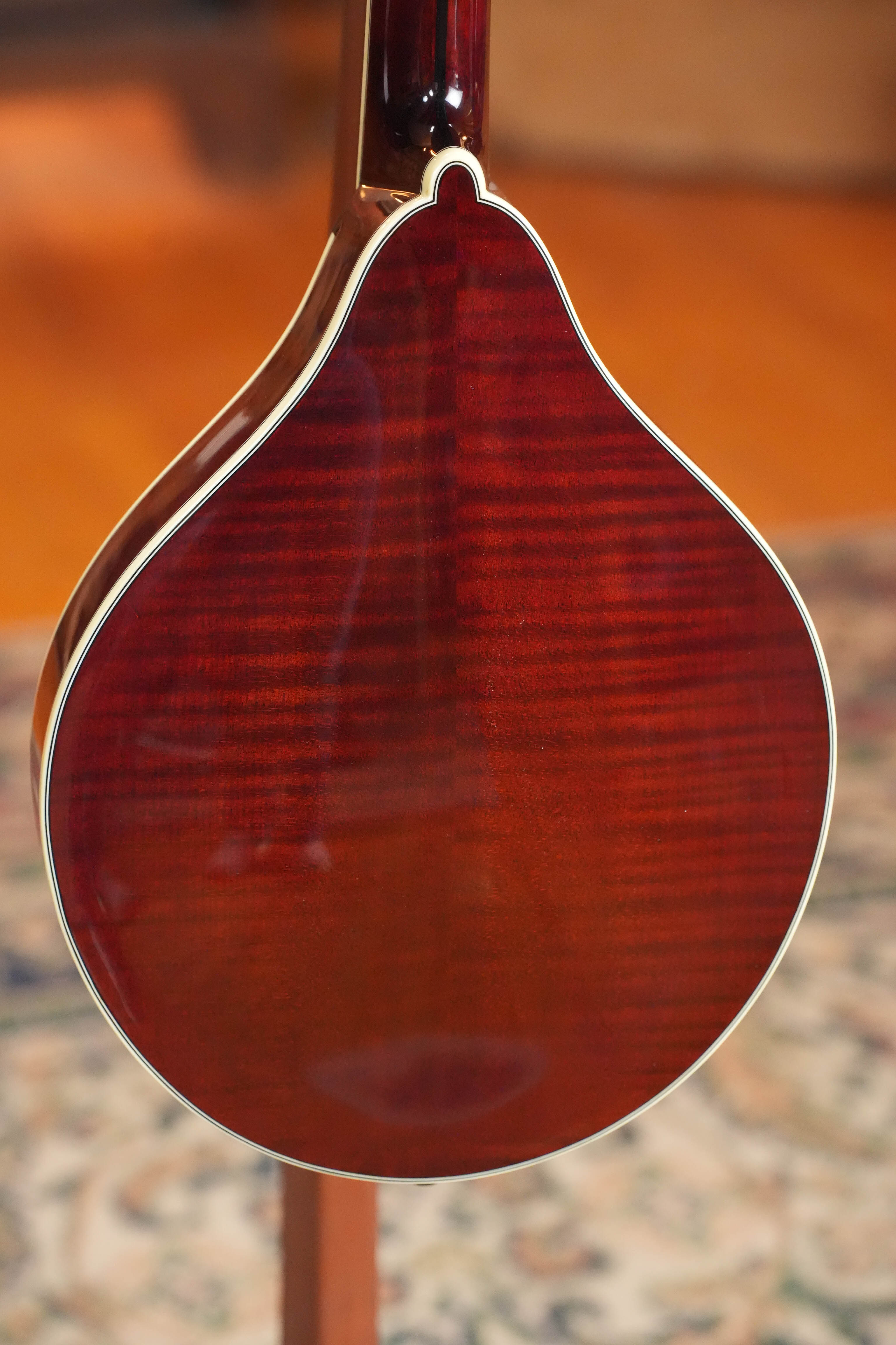 *Stage Ready* TAS Exclusive Bourgeois M5-A-CR Cordovan Red A-Style Mandolin #2122