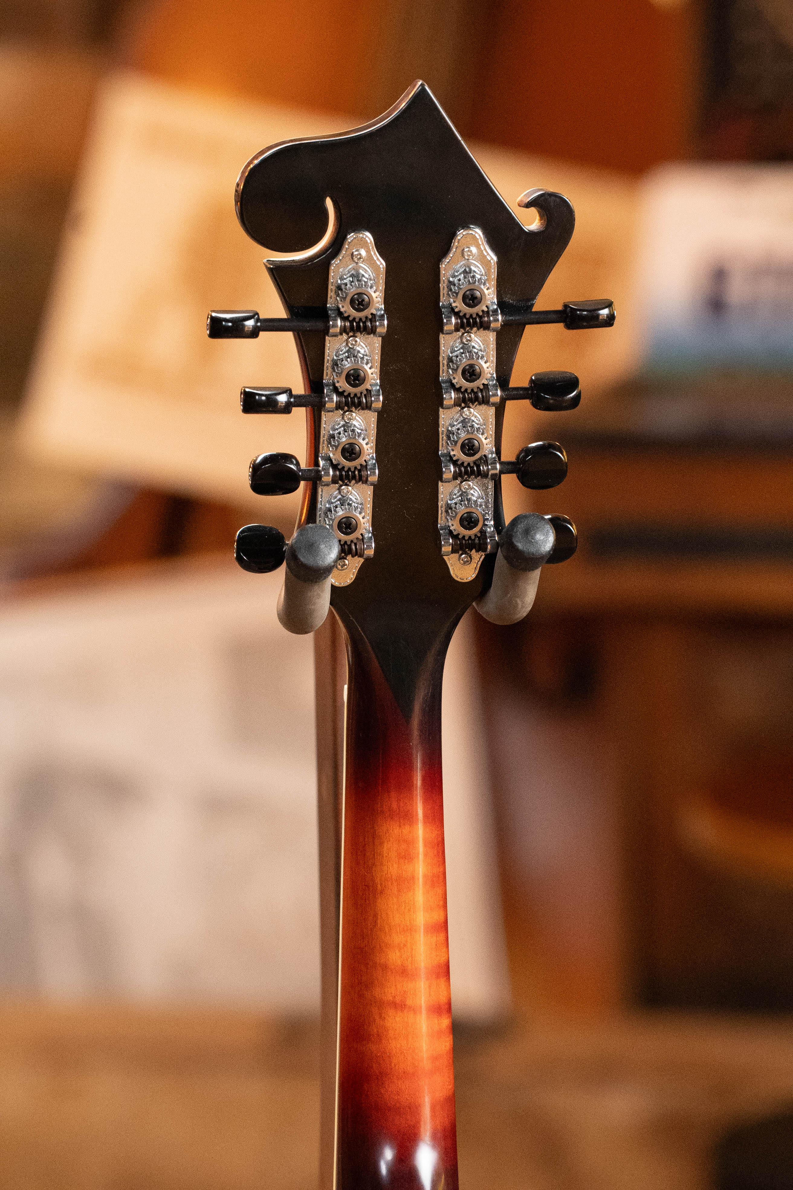 Tailwater TW-F5V Adirondack/Flamed Maple F-Style Mandolin #1108