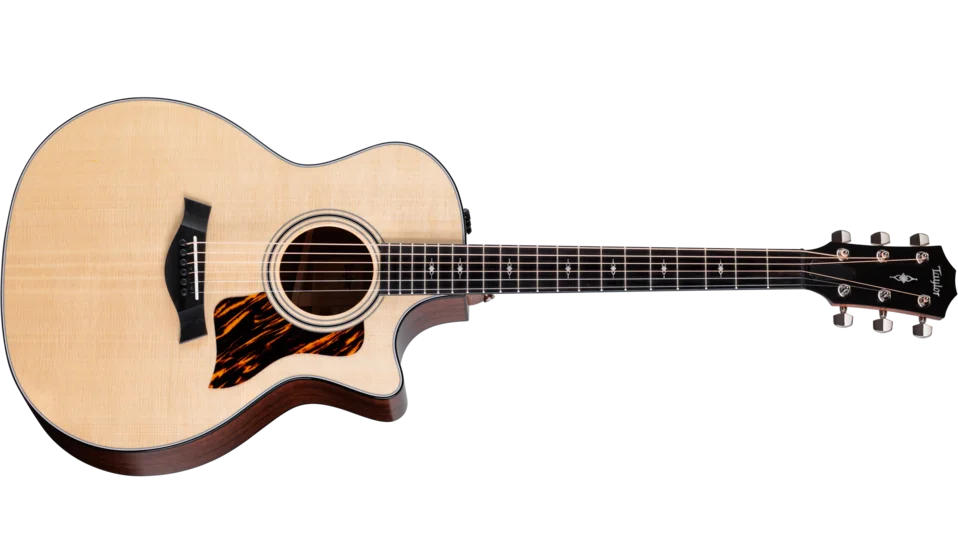 Taylor 314ce Grand Auditorium Acoustic-Electric — manufacturer photo, representative example only