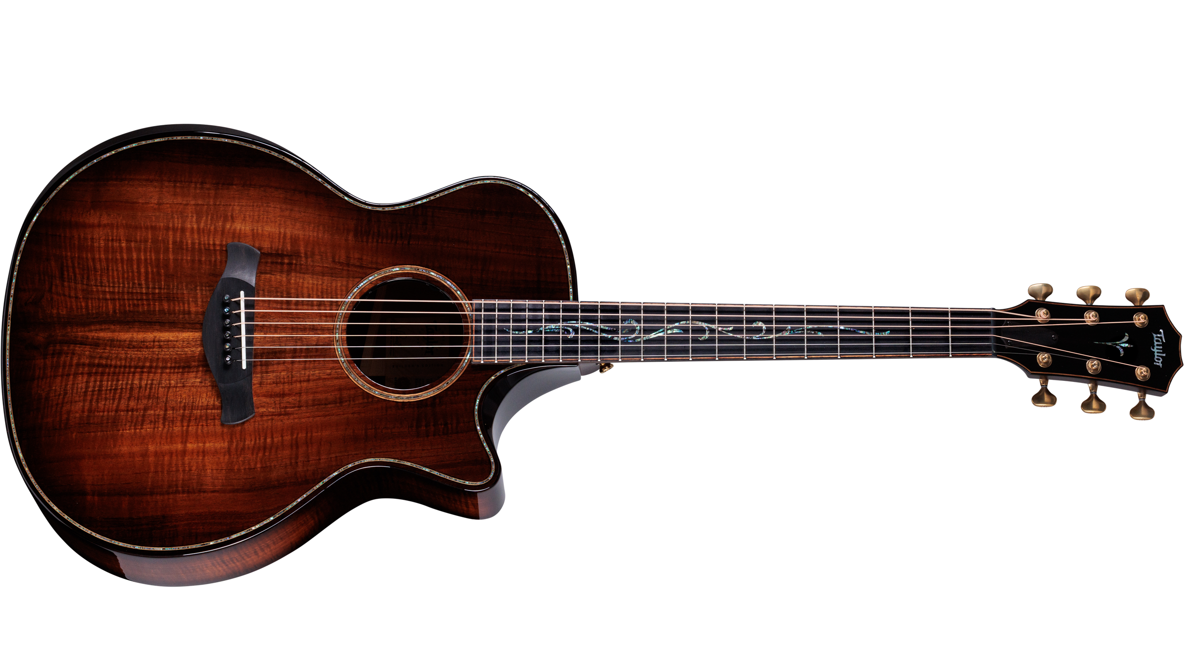 Taylor Builder's Edition K24ce Grand Auditorium Acoustic-Electric at The Acoustic Shoppe