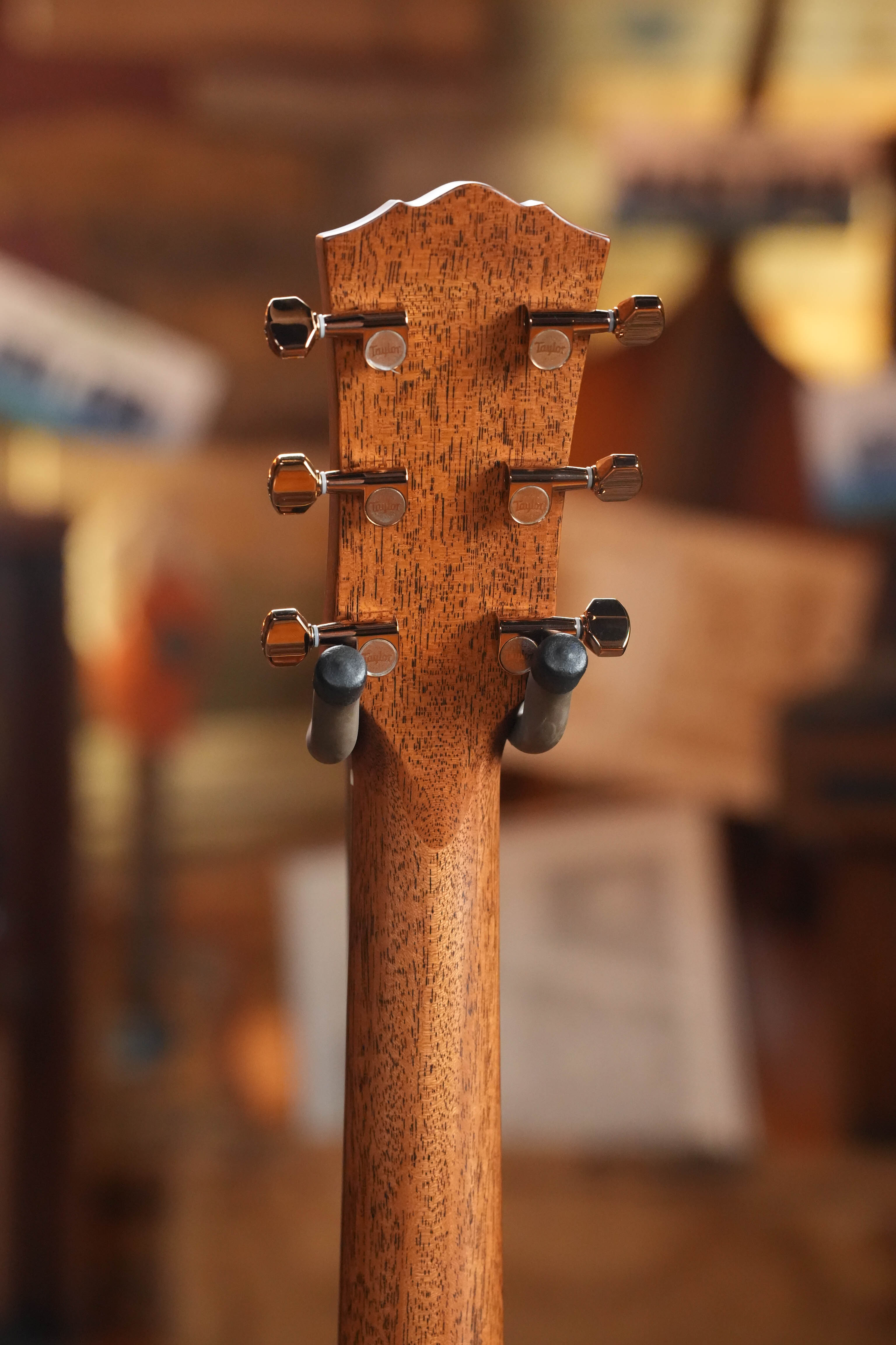 Taylor Ben Harper Gold Label 512e SE Grand Concert Acoustic-Electric #6029