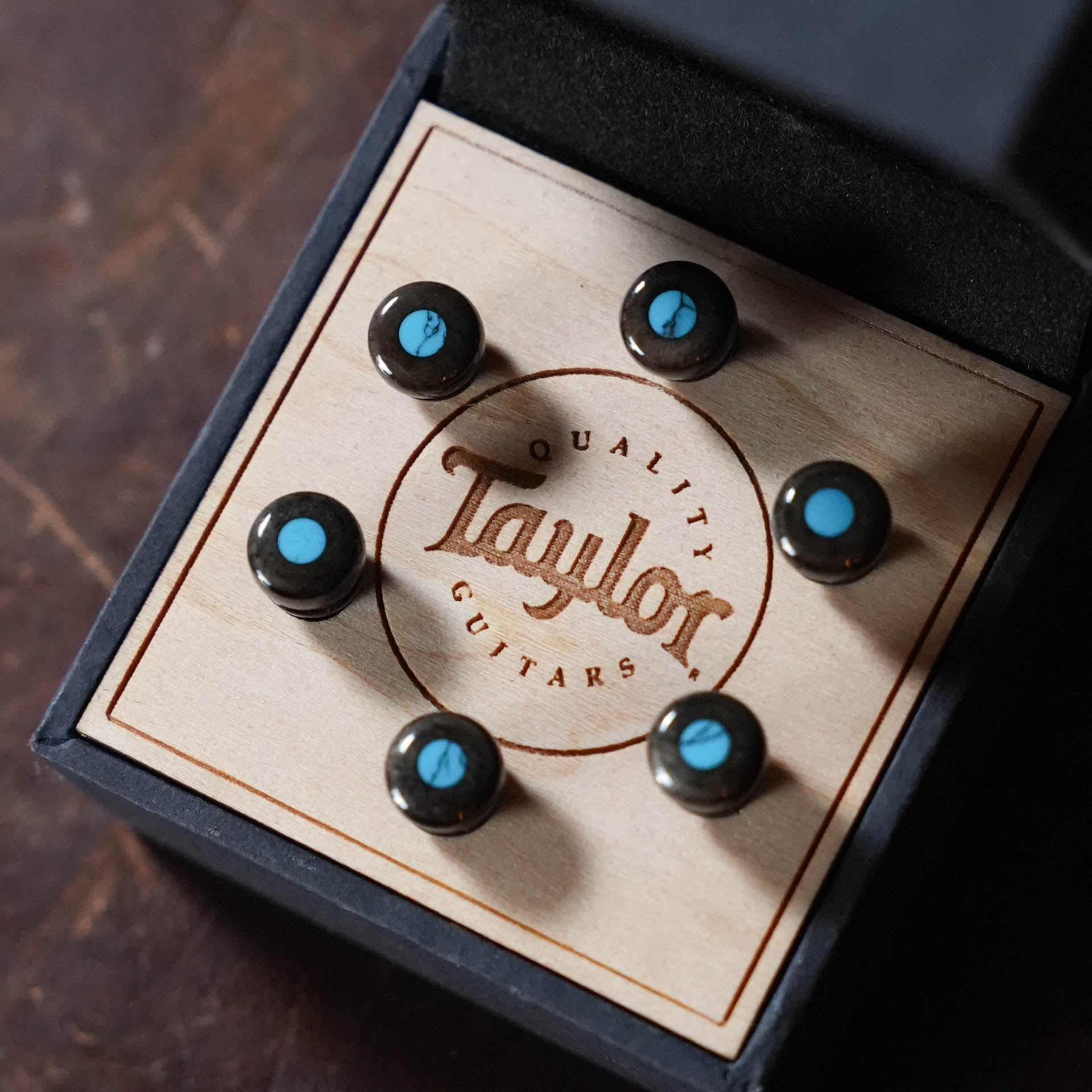 Taylor Bridge Pin Set, Bone, Brown w/Turquoise