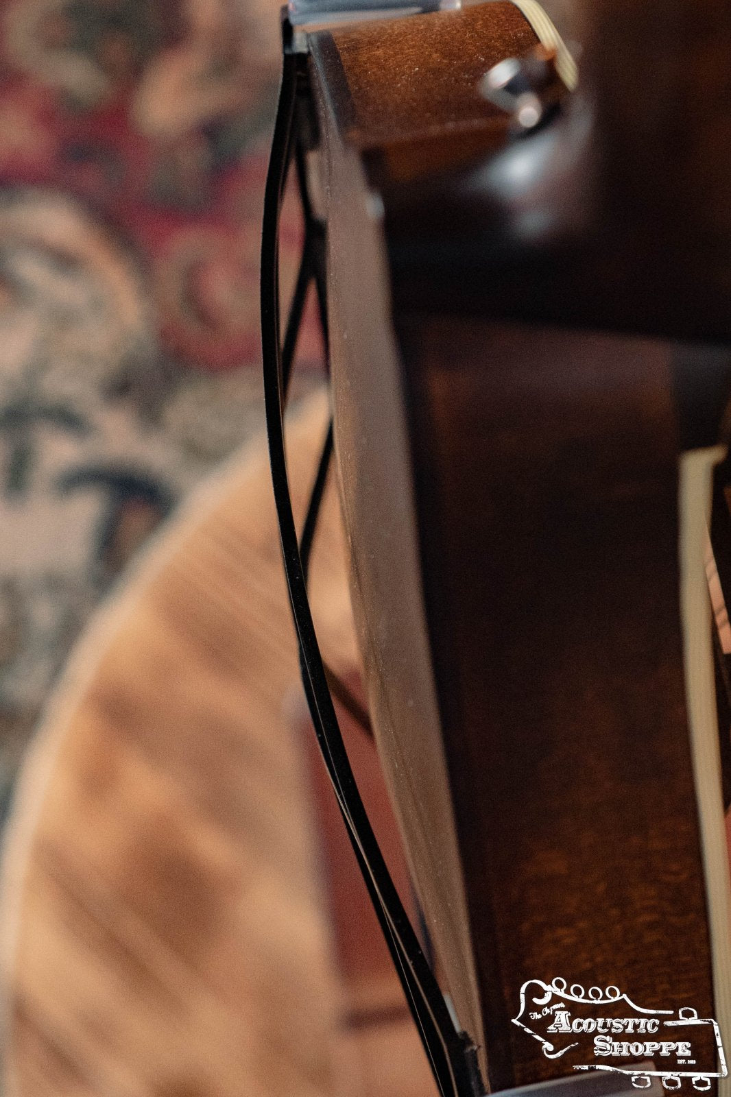 Deco Mandolin Tone-Gard Top down view on mandolin