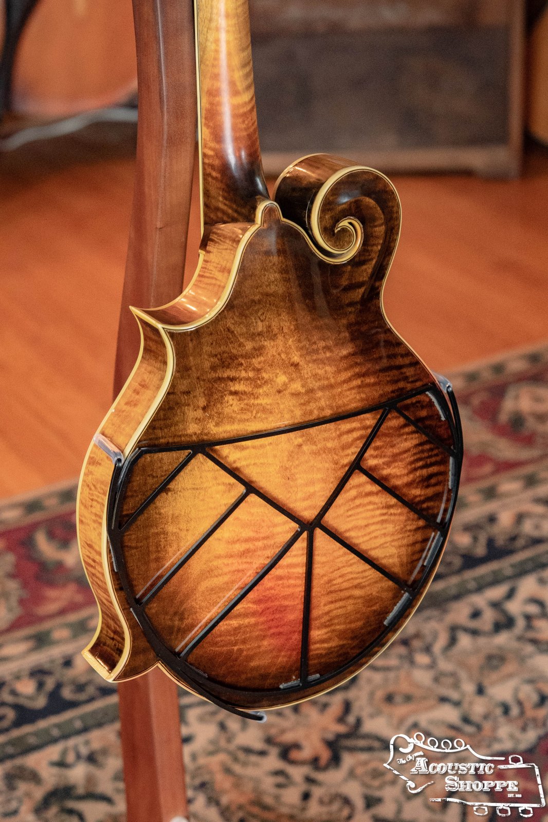 Deco Mandolin Tone-Gard on F-Style mandolin sunburst back