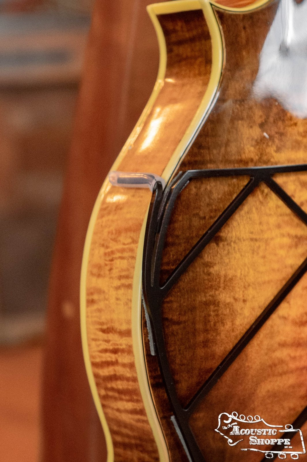 Deco Mandolin Tone-Gard on F-style mandolin close arm