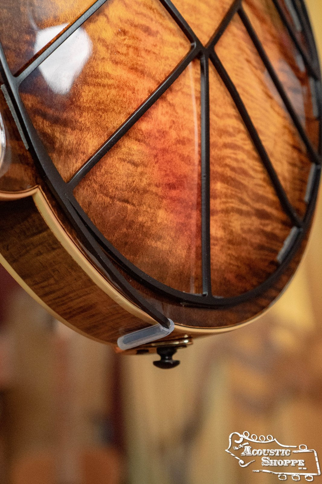 Deco Mandolin Tone-Gard on F-style mandolin close bottom arm