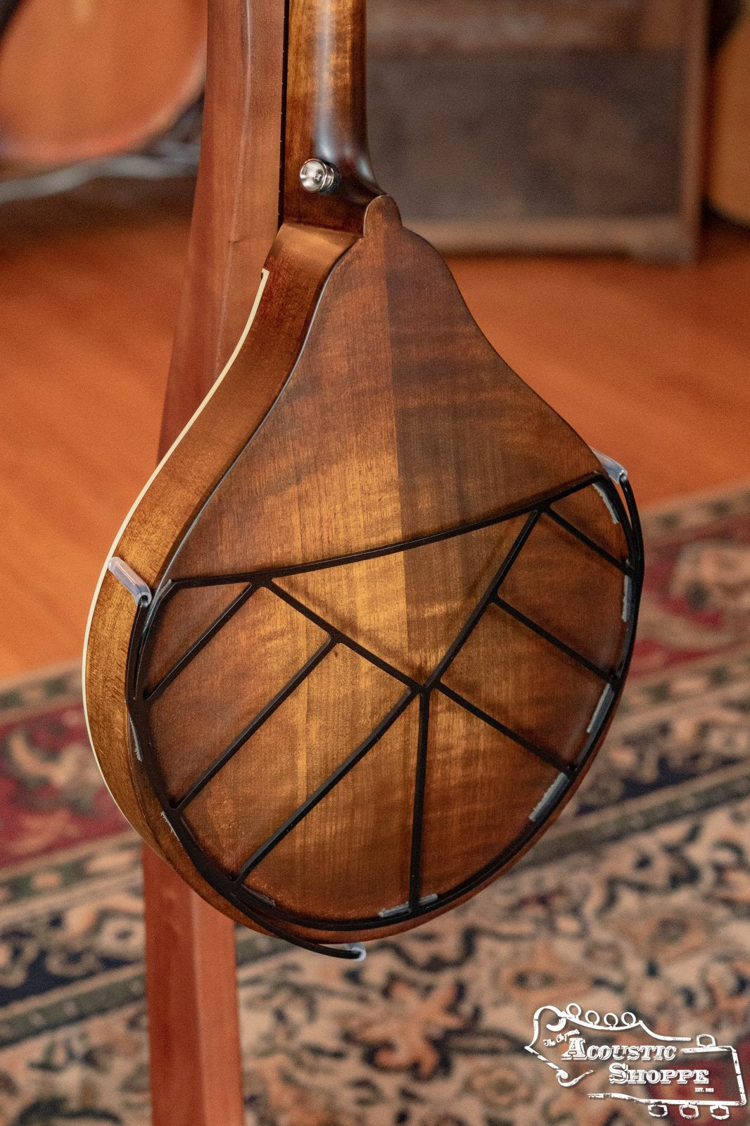 Deco Mandolin Tone-Gard on a-style mandolin back view