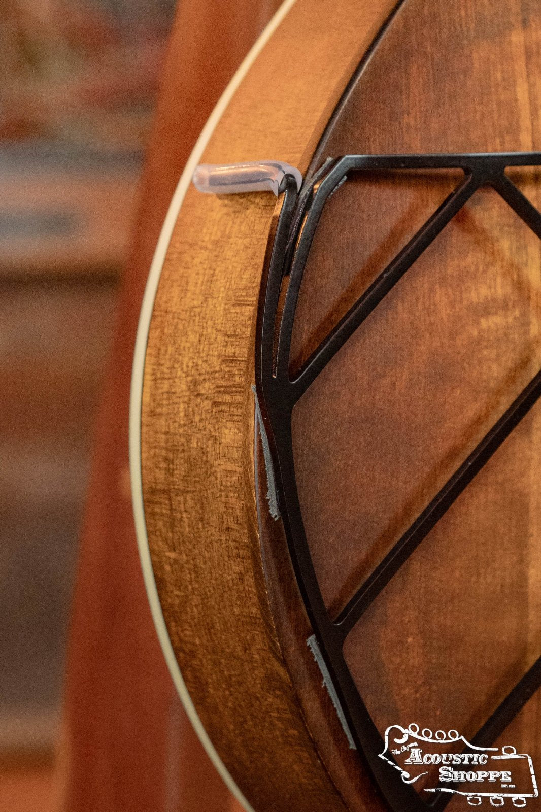 Deco Mandolin Tone-Gard on mandolin close view of arm