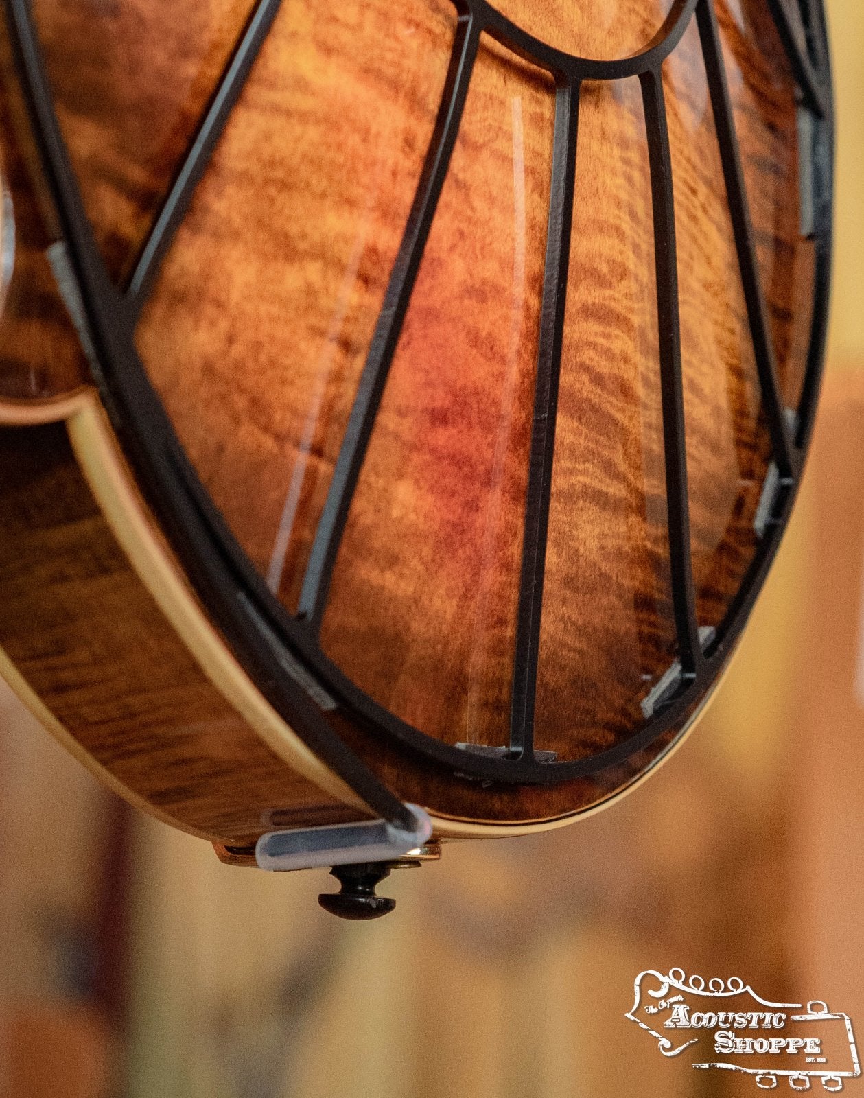 Close-up of the back of a wooden string instrument with a glossy finish, featuring the Tone-Gard Mandolin - Sunrise by Tone-Gard as a back protector. The Acoustic Shoppe logo appears in the bottom right corner.