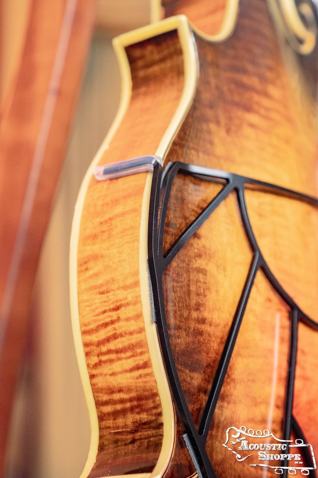 Close-up of the side and back of a wooden string instrument, fitted with the Tone-Gard Mandolin - Vintage back protector by Tone-Gard; features a decorative metal frame and Acoustic Shoppe logo in the bottom right corner.
