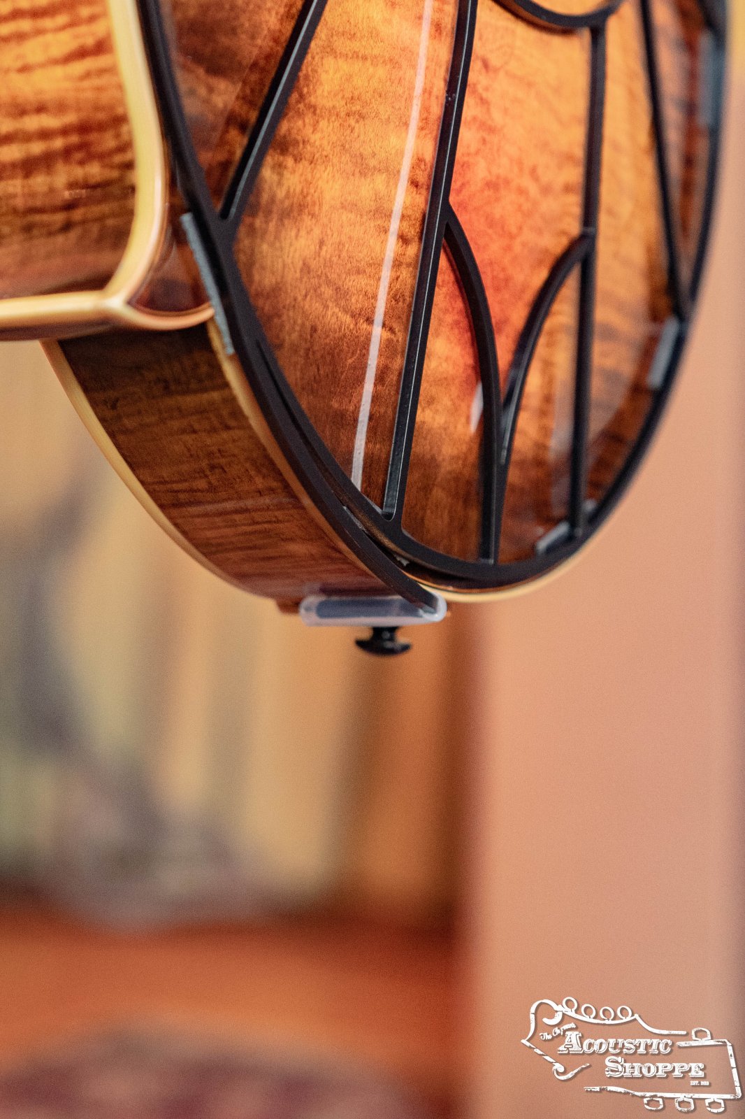 Close-up of a Tone-Gard Mandolin - Vintage by Tone-Gard, showing its decorative black metal guard protecting the instrument’s back and highlighting the wood grain. Acoustic Shoppe logo is visible in the lower right corner.