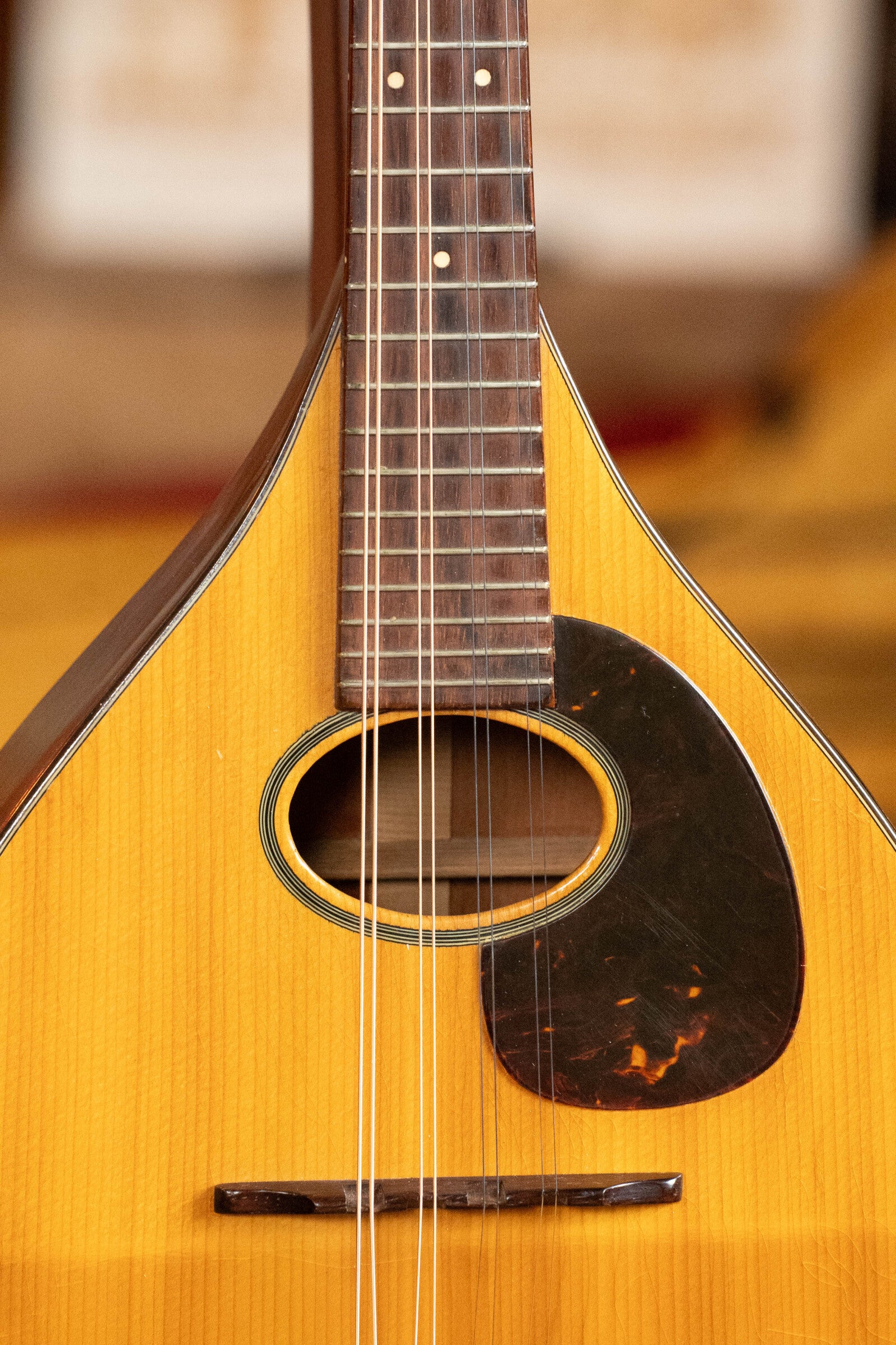 (Used) 1954 Martin Styler A Flat-Backed Tear Drop Mandolin #1667