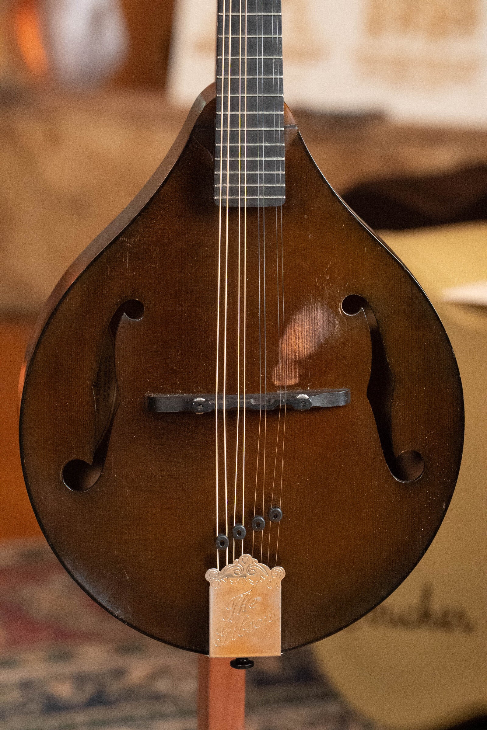A close-up of a (Used) 2003 Gibson Mastermodel A9 Spruce/Maple Mandolin #7040 with f-shaped sound holes, strings, and a gold tailpiece engraved with The Gibson—ideal for bluegrass. The softly blurred background shows part of another instrument case.
