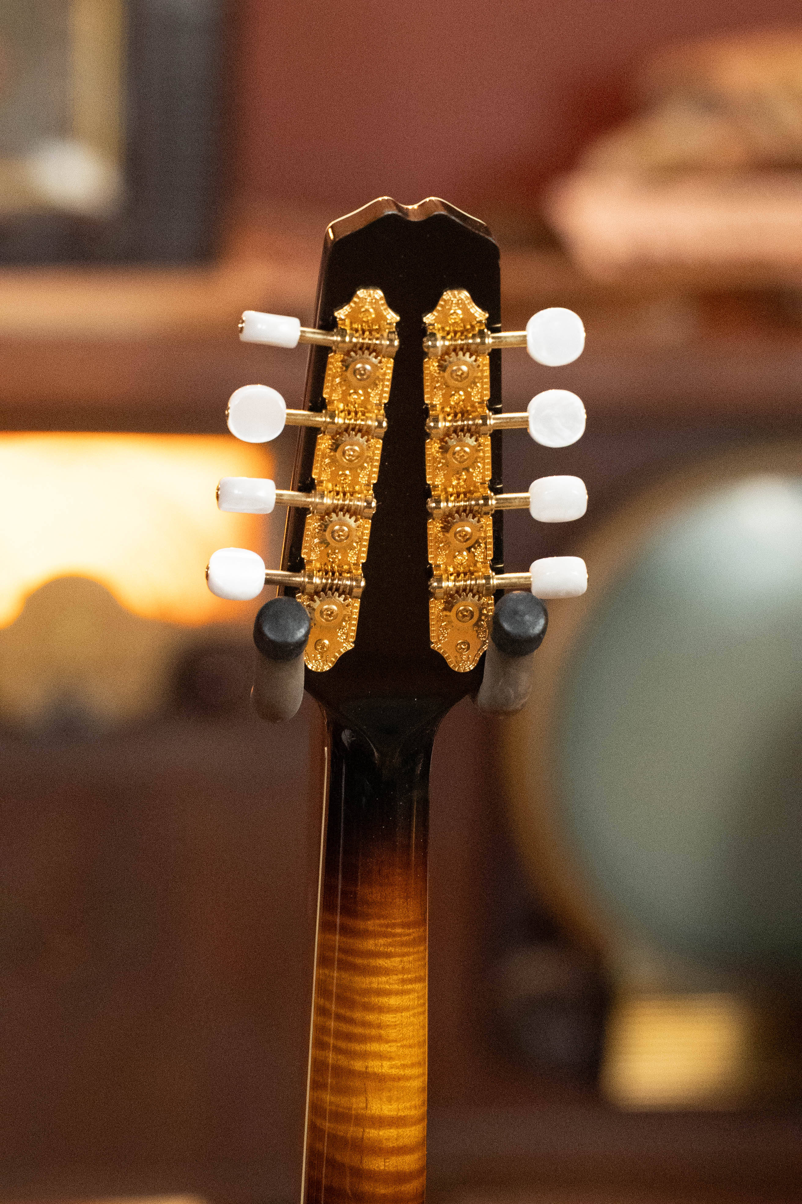 Close-up of the back of a used 2016 Weber Fern Red Spruce/Flamed Maple A-Style Mandolin #2801 headstock, featuring gold tuning pegs with white knobs and a dark brown finish. The background is softly blurred.