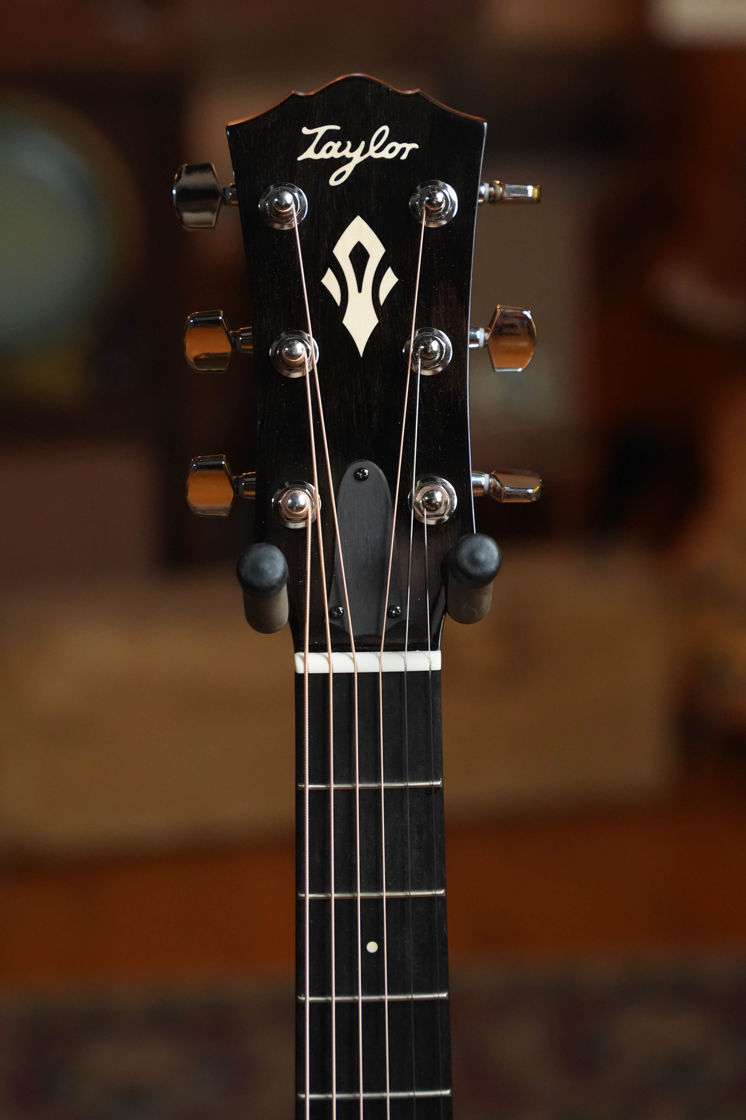 (Used) 2025 Taylor 717e SB Gold Label Grand Pacific Guitar w/LR Baggs Pickup #5010
