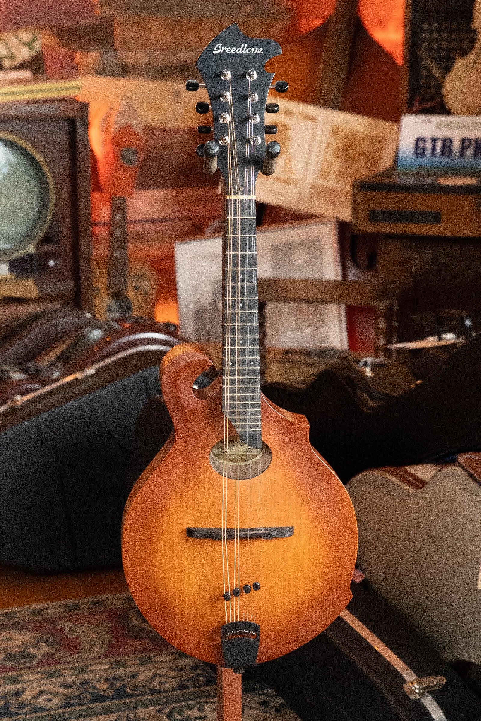 (Used) Breedlove Premier Series FO Sitka/Maple F-Style Mandolin #7858