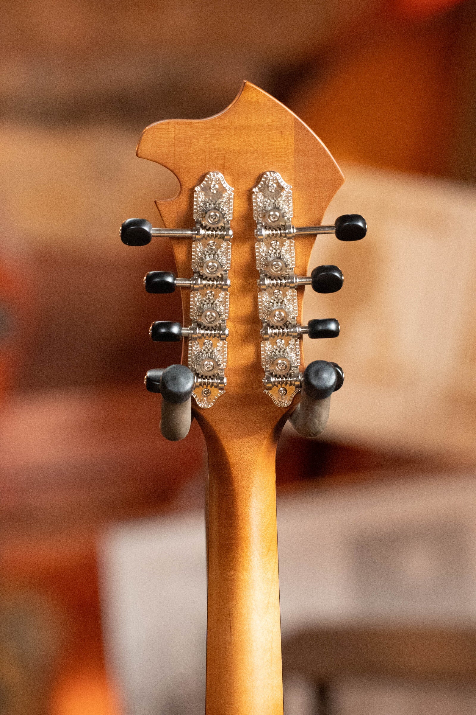 (Used) Breedlove Premier Series FO Sitka/Maple F-Style Mandolin #7858