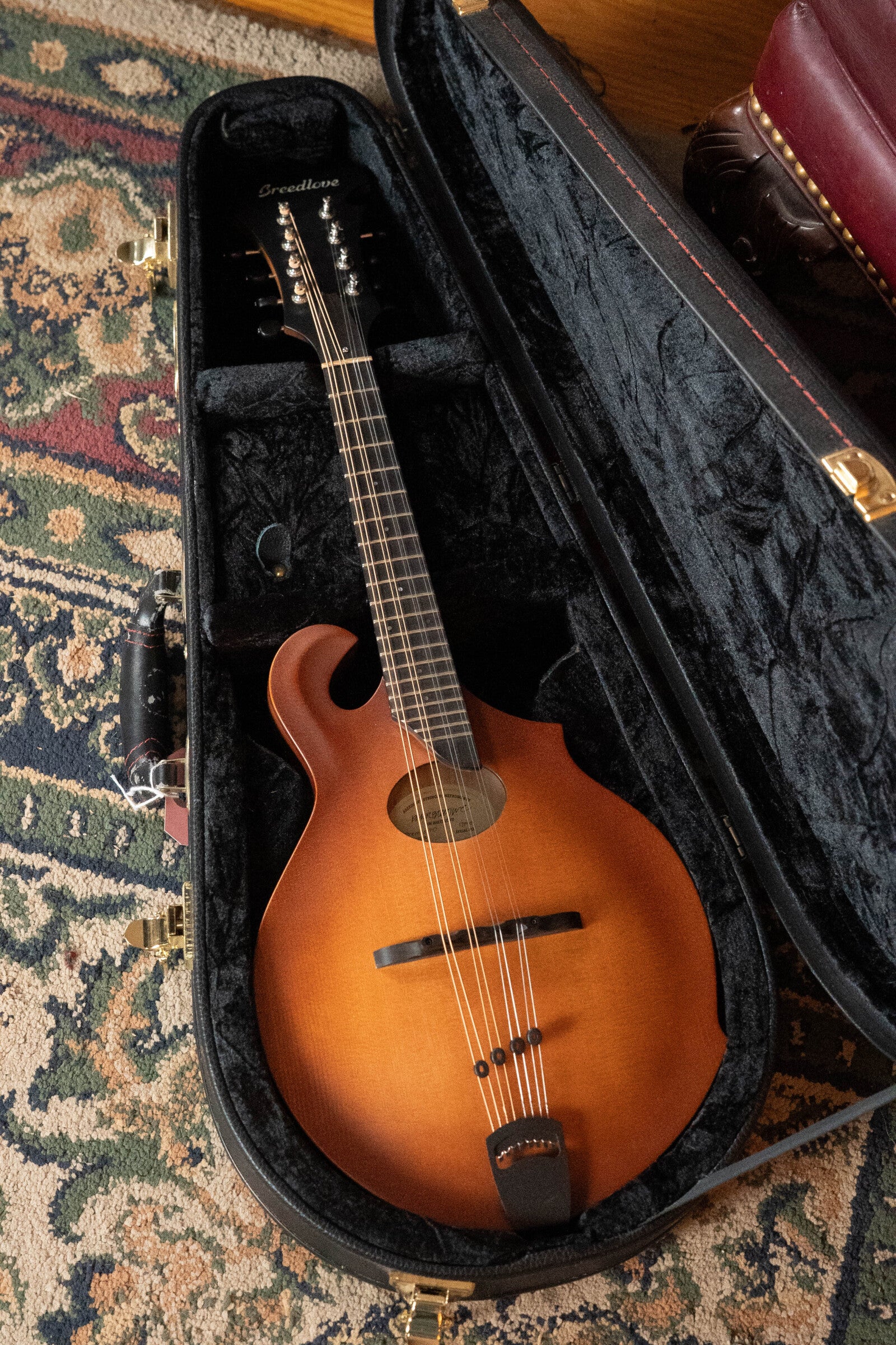 (Used) Breedlove Premier Series FO Sitka/Maple F-Style Mandolin #7858