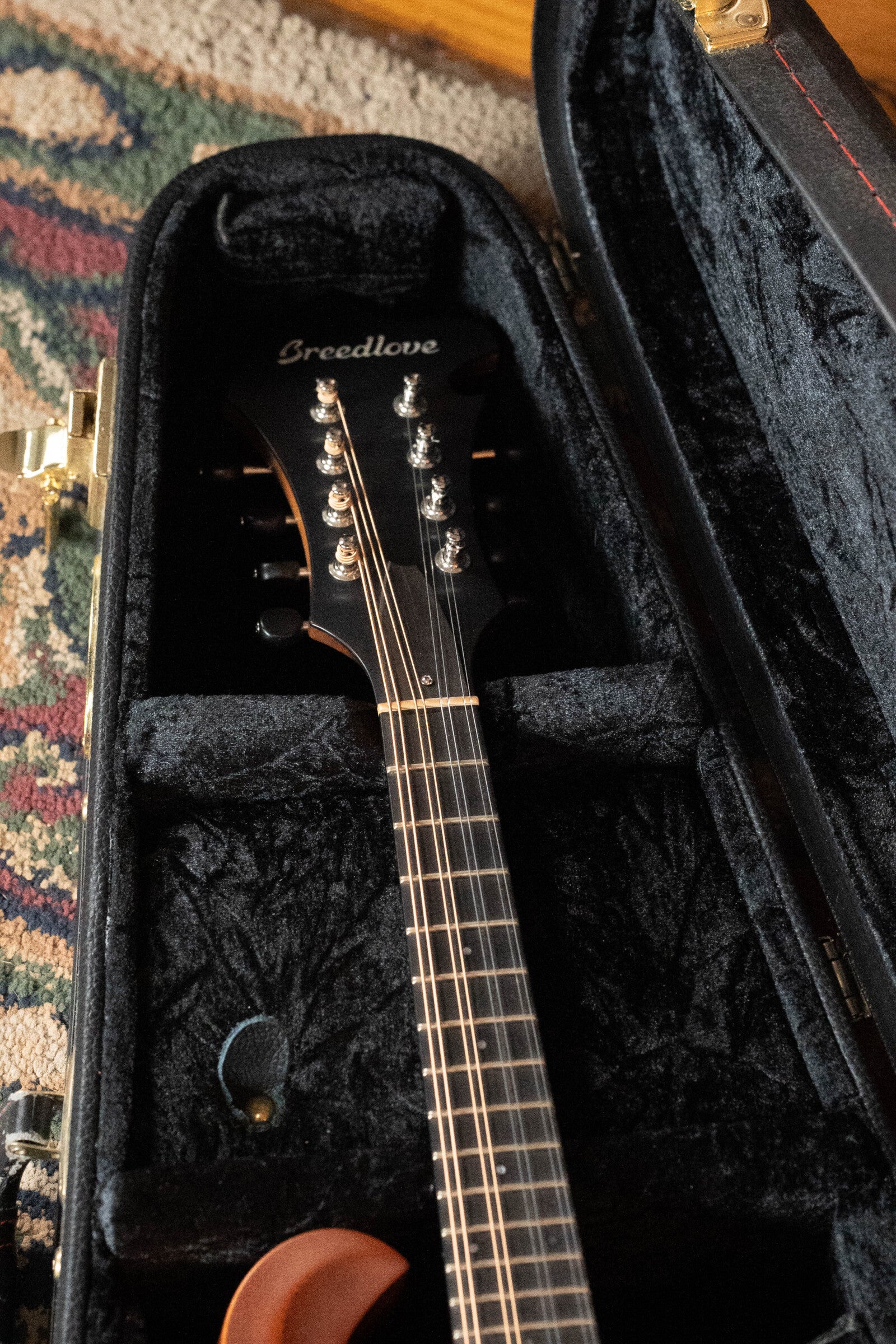 (Used) Breedlove Premier Series FO Sitka/Maple F-Style Mandolin #7858