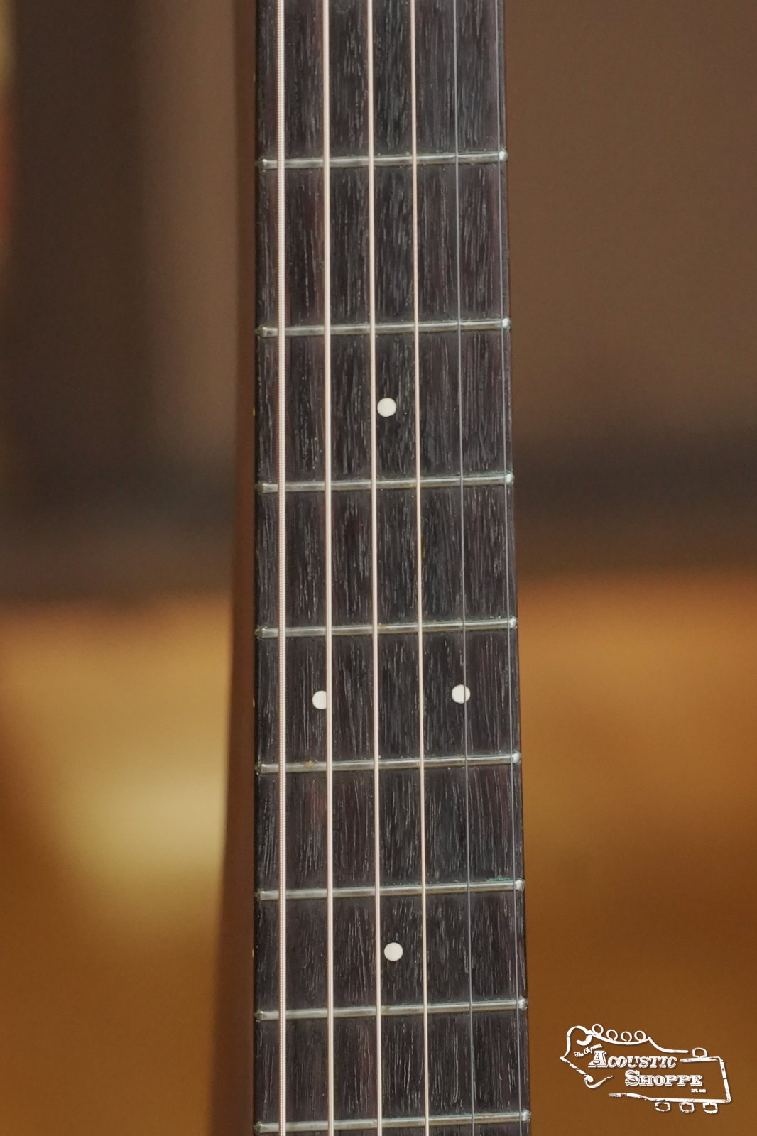 (Used) 1987 Martin D-16M