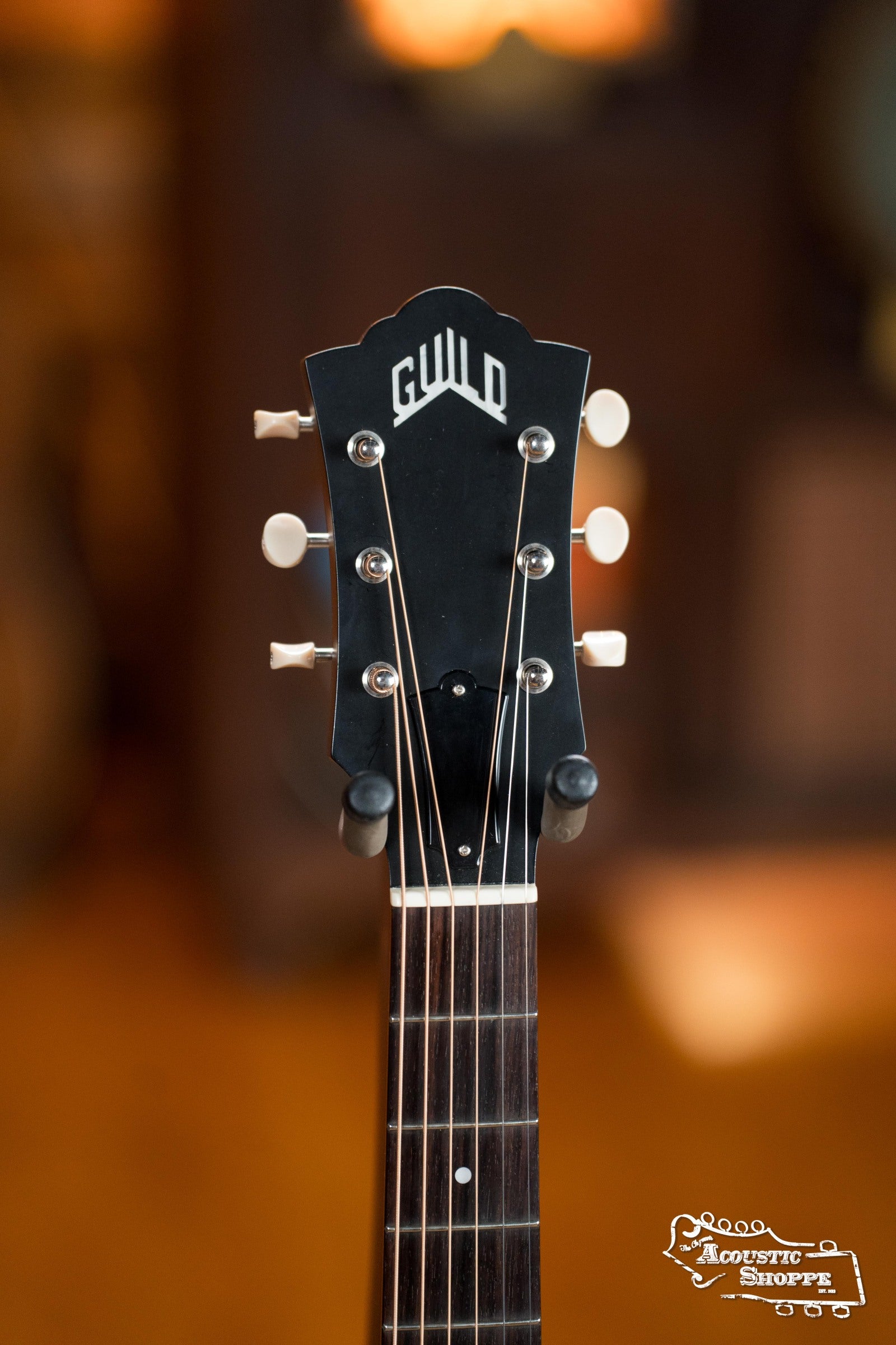 (Used) Guild GSR M-20 Concert Guitar w/LR Baggs HiFi #0493