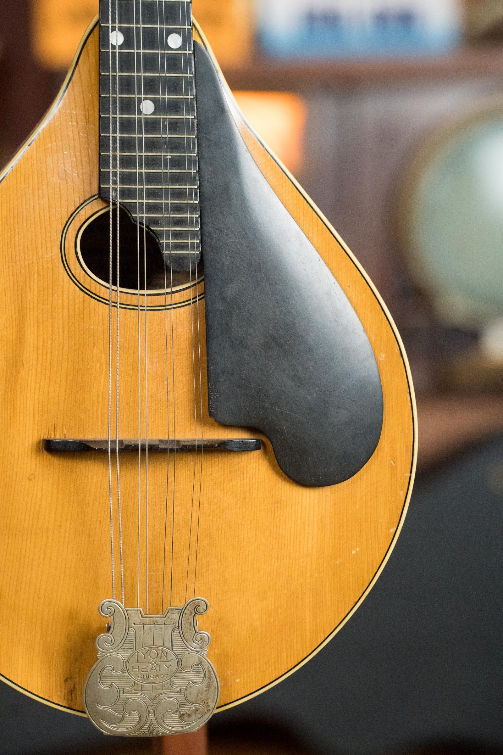 (Used) Lyon & Healy Late 1910s Spruce/Maple Style C Mandolin #452