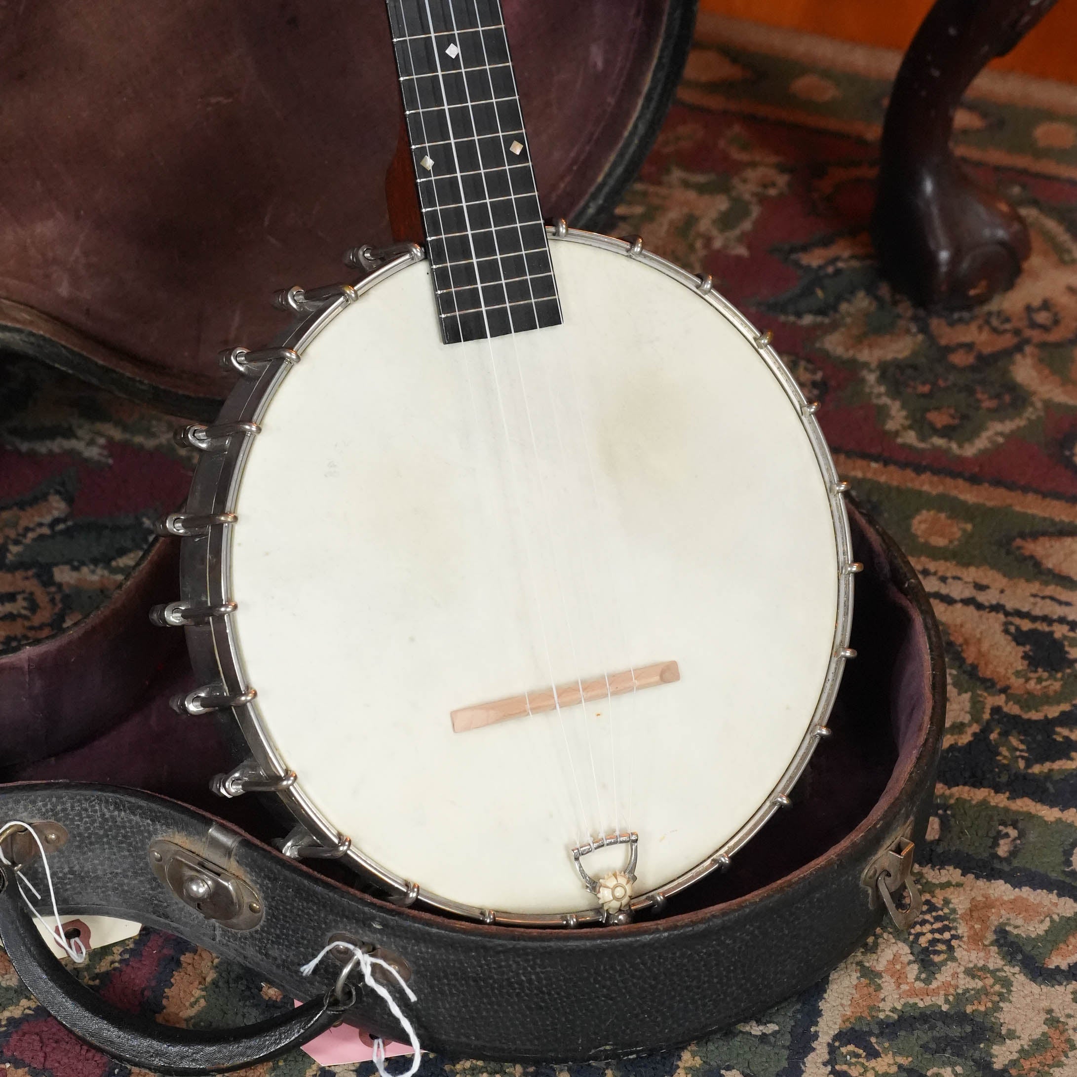 (Used) Vintage 1895 S.S. Stewart Banjeaurine 5-String Open-Back Banjo #5853