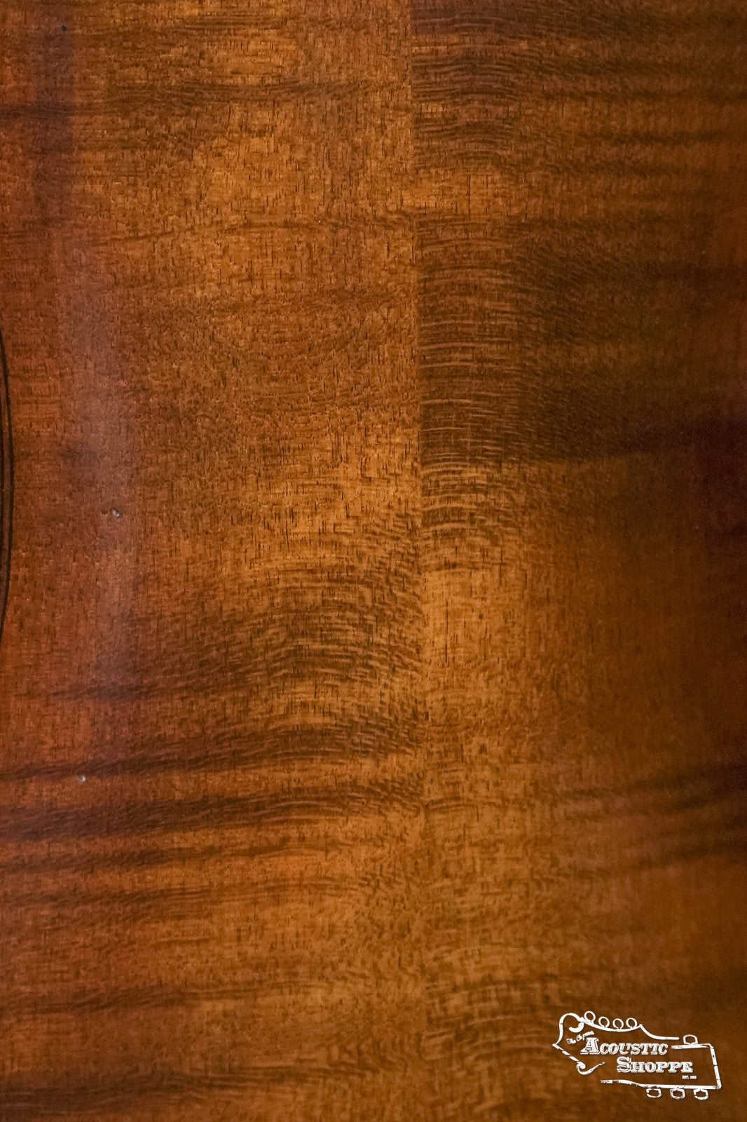Eastman VLF2 Hand-Carved Pro Fiddle / Violin Outfit #7235