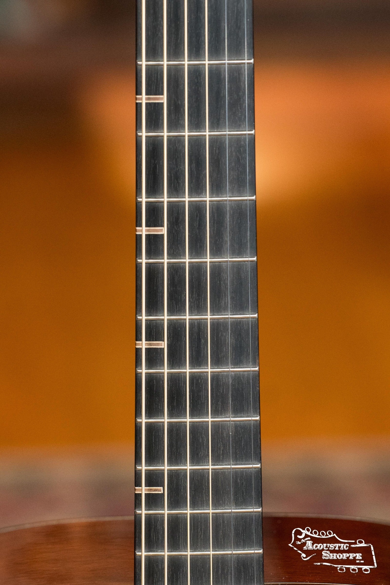 Yamaha FG9 MX Adirondack/Mahogany Dreadnought Guitar w/Atmosfeel Pickup #060A