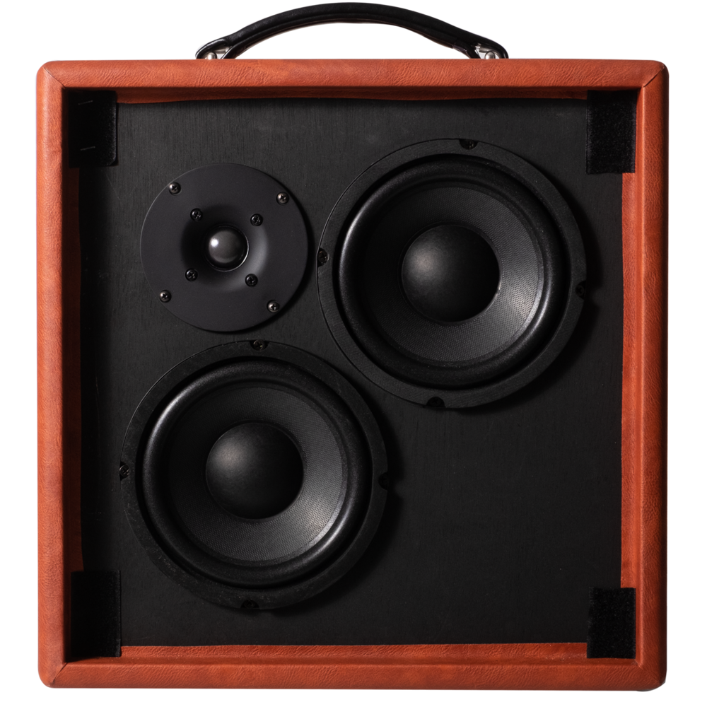 Recording King Songwriter 60 Watt Acoustic Amp