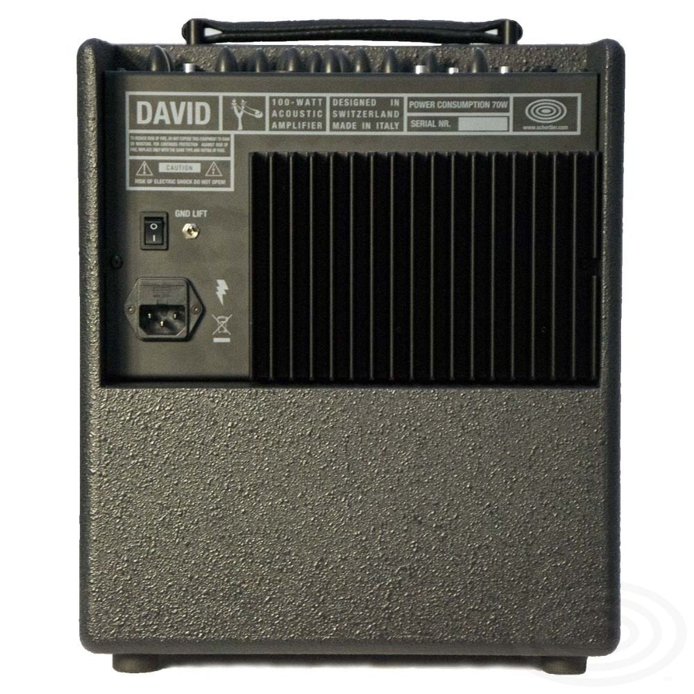 (Floor Model) Schertler Amp DAVID - Anthracite