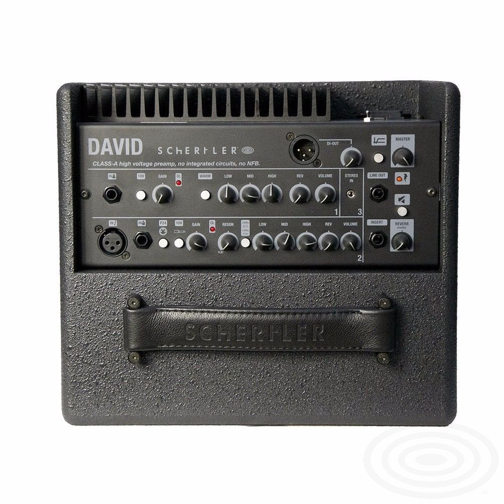 (Floor Model) Schertler Amp DAVID - Anthracite