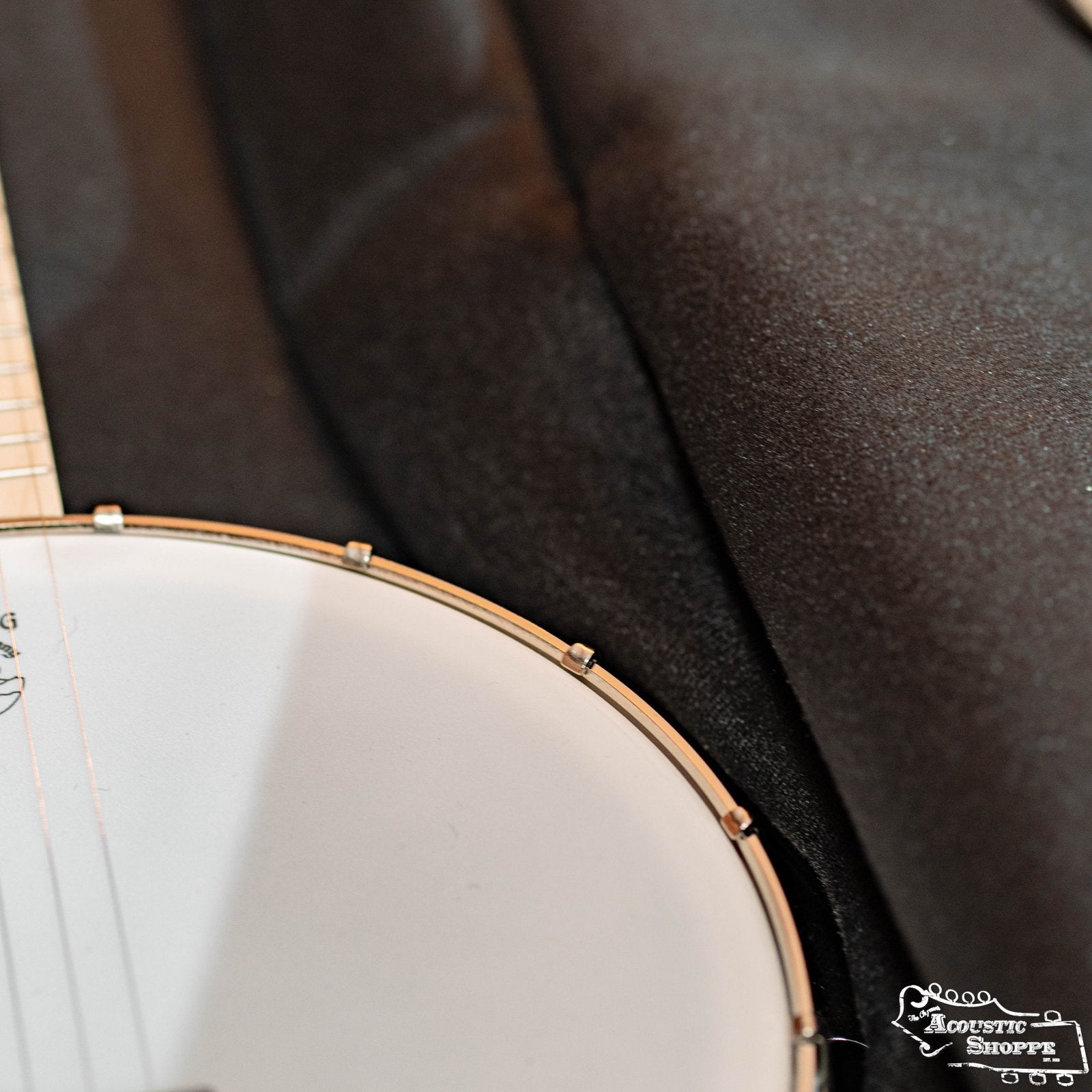 Deering Padded "Vintage Eagle" Resonator Banjo Gig Bag