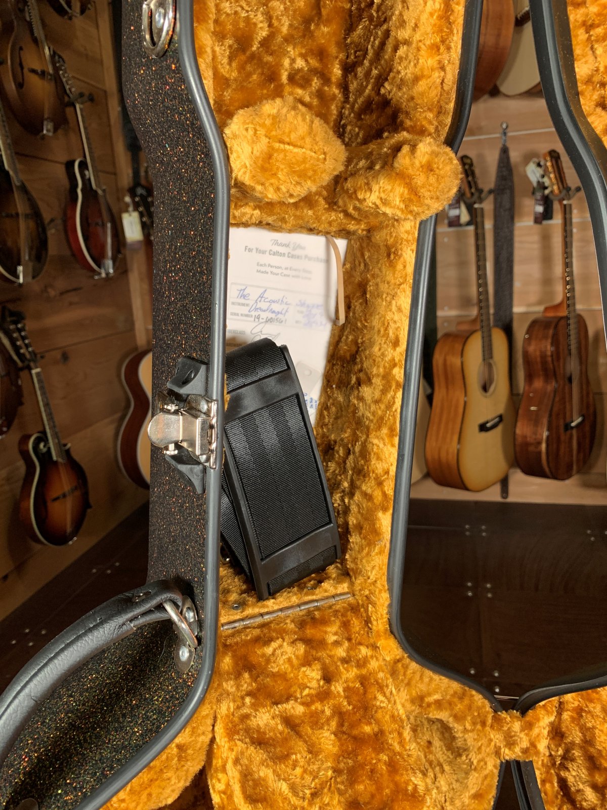 Calton Aged Copper Glitter/Gold Interior Dreadnought Guitar Case
