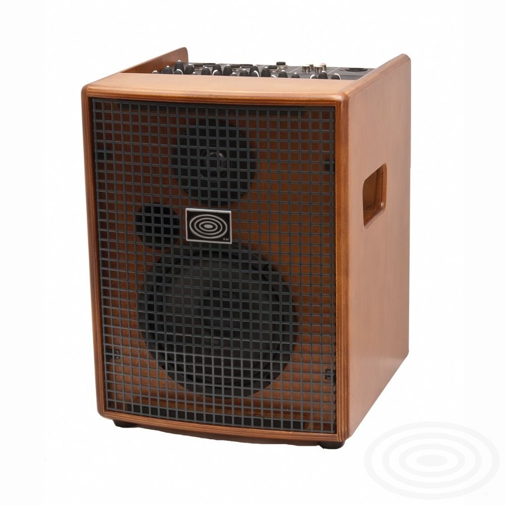 Schertler Amp JAM 100 (Wood)