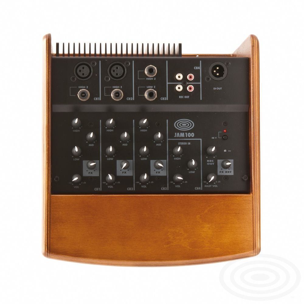 Schertler Amp JAM 100 (Wood)