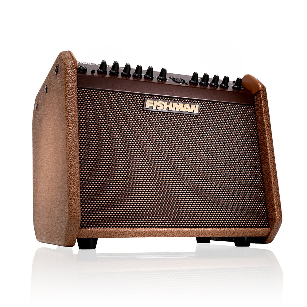 Fishman Loudbox Mini Charge (PRO-LBC-500)