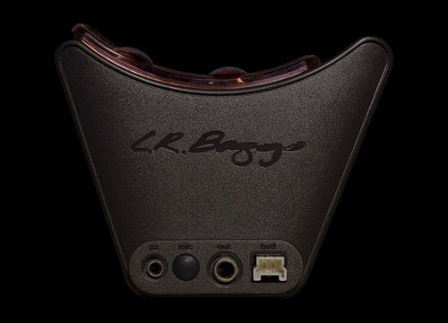 L.R. Baggs Session-VTC