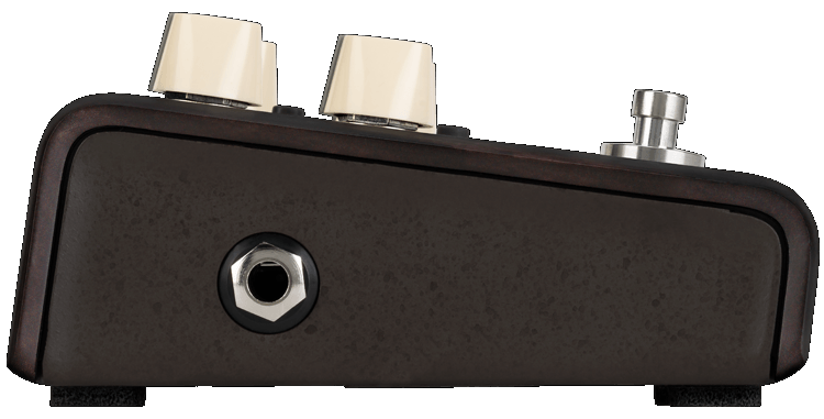 L.R. Baggs Align Delay