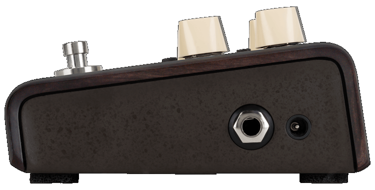 A side view of the L.R. Baggs Align Delay pedal shows two cream knobs, a footswitch, a metallic input jack, and a power port—ideal for high-fidelity instruments.