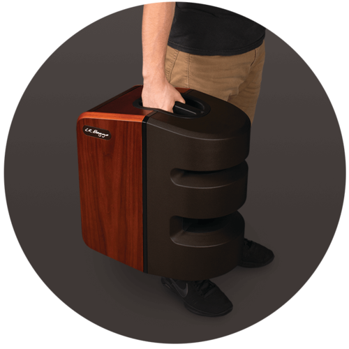 L.R. Baggs Synapse Personal PA System