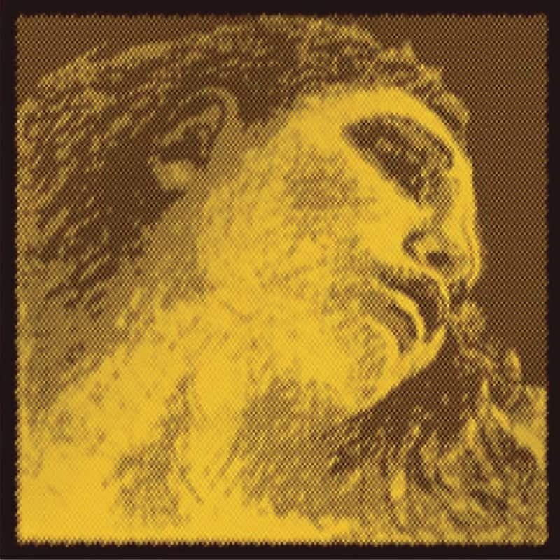 Pirastro Evah Pirazzi Gold Handmade Violin Strings 4/4 Set EVAG415091