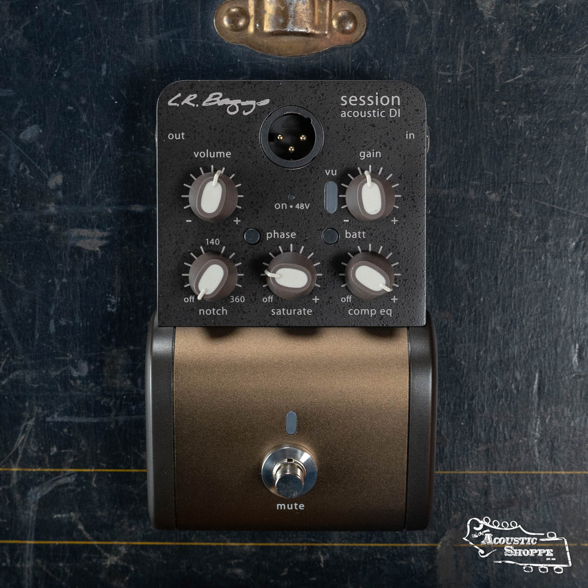 L.R. Baggs Session DI