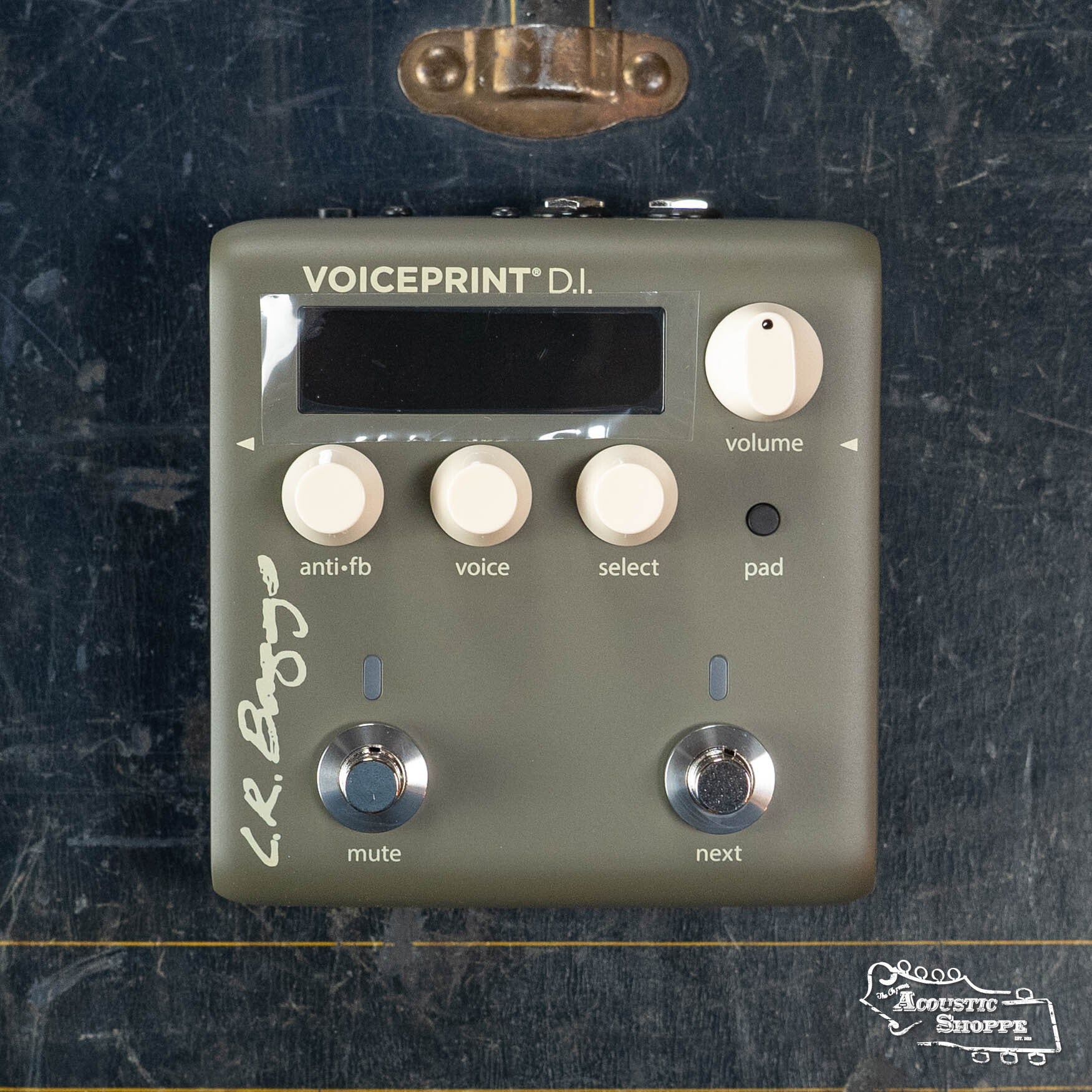 acoustic pedal L.R. Baggs Voiceprint DI Acoustic Guitar Impulse Response Effects Pedal