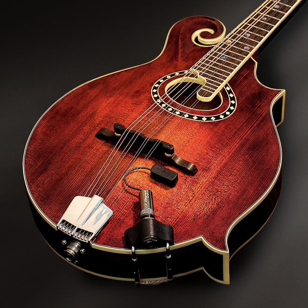 A close-up of a mandolin with a reddish-brown body and ornate soundhole detailing, featuring the L.R. Baggs Radius Mandolin Pickup with mic emulation near the bridge, set against a black background.