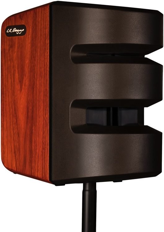 L.R. Baggs Synapse Personal PA System