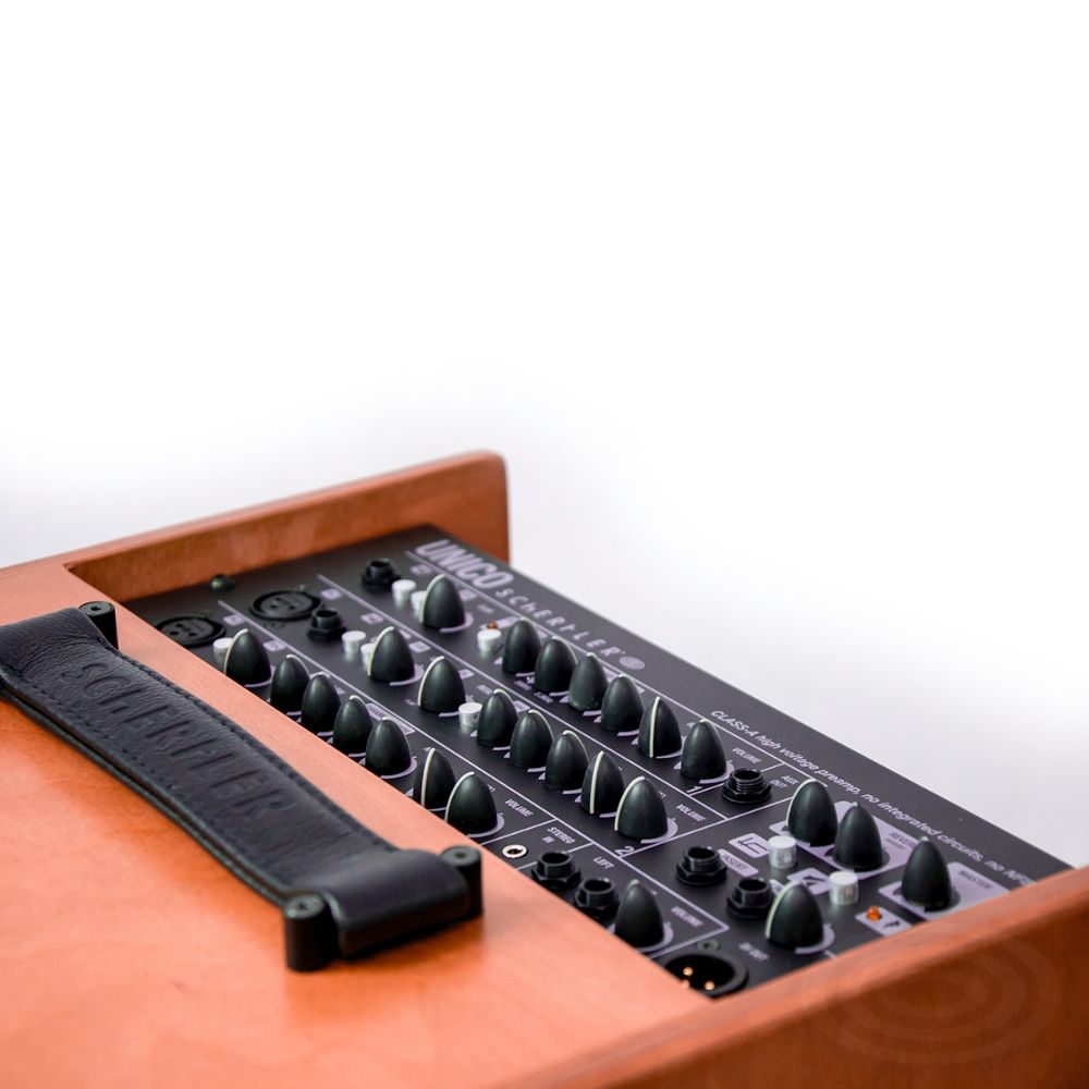 Schertler Amp UNICO (Wood)